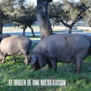 Experiencia Dehesa Finca Era Alta