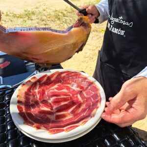 Experiencia las Lagartosas