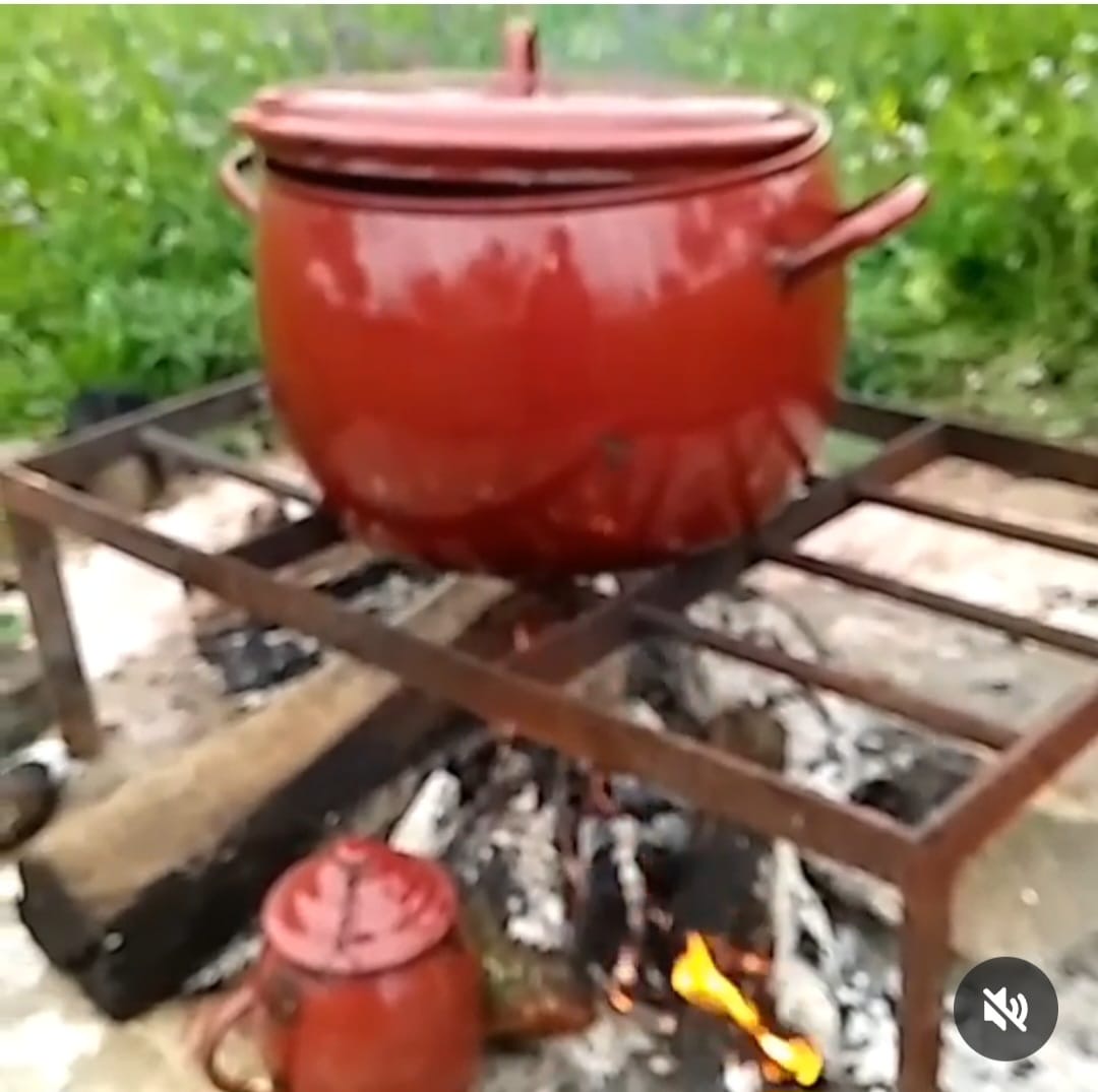 Experiencia las Lagartosas - Imagen 10