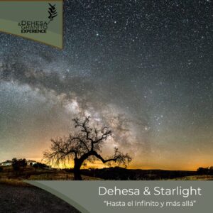 Escapada Dehesa & Starlight "Hasta el Infinito y más allá"