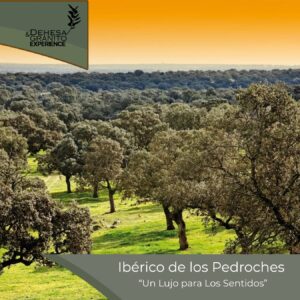 Ruta del ibérico Los Pedroches  "Un Lujo para los Sentidos"