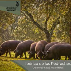 Ruta del ibérico Los Pedroches "Del Cerdo hasta los andares"